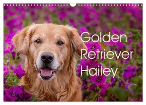 Golden Retriever Hailey Fotokalender (Wandkalender 2024 DIN A3 quer), CALVENDO Monatskalender von Hofmeister,  Daniela