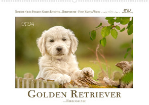 Golden Retriever… Herzenshunde (Wandkalender 2024 DIN A2 quer) von Wrede - Wredefotografie,  Martina