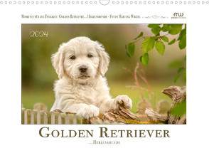 Golden Retriever… Herzenshunde (Wandkalender 2024 DIN A3 quer) von Wrede - Wredefotografie,  Martina