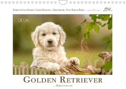 Golden Retriever… Herzenshunde (Wandkalender 2024 DIN A4 quer), CALVENDO Monatskalender von Wrede - Wredefotografie,  Martina