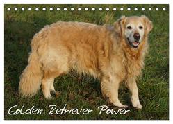 Golden Retriever Power (Tischkalender 2024 DIN A5 quer), CALVENDO Monatskalender von Kattobello,  Kattobello