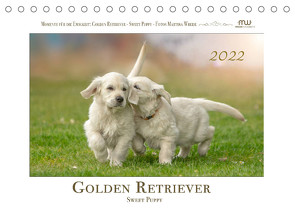 Golden Retriever – Sweet Puppy (Tischkalender 2022 DIN A5 quer) von Wrede,  Martina