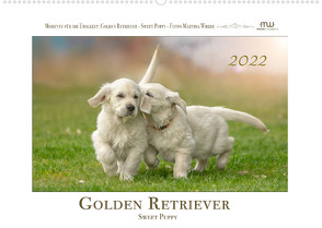 Golden Retriever – Sweet Puppy (Wandkalender 2022 DIN A2 quer) von Wrede,  Martina