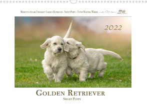 Golden Retriever – Sweet Puppy (Wandkalender 2022 DIN A3 quer) von Wrede,  Martina