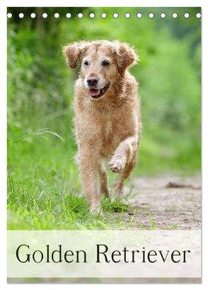 Golden Retriever (Tischkalender 2024 DIN A5 hoch), CALVENDO Monatskalender von Noack,  Nicole