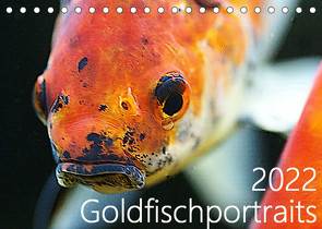 Goldfischportraits (Tischkalender 2022 DIN A5 quer) von Wirtz,  Hanne