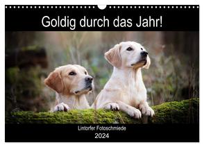 Goldig durch das Jahr! (Wandkalender 2024 DIN A3 quer), CALVENDO Monatskalender von Bohlmann,  Jennifer