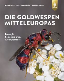 Die Goldwespen Mitteleuropas von Rosa,  Paolo, Wiesbauer,  Heinz, Zettel,  Herbert