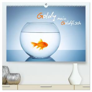 Goldy – mein Goldfisch (hochwertiger Premium Wandkalender 2024 DIN A2 quer), Kunstdruck in Hochglanz von rclassen,  rclassen