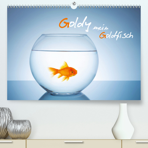 Goldy – mein Goldfisch (Premium, hochwertiger DIN A2 Wandkalender 2021, Kunstdruck in Hochglanz) von rclassen