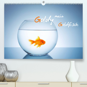 Goldy – mein Goldfisch (Premium, hochwertiger DIN A2 Wandkalender 2022, Kunstdruck in Hochglanz) von rclassen