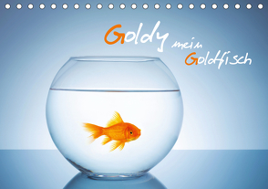 Goldy – mein Goldfisch (Tischkalender 2021 DIN A5 quer) von rclassen