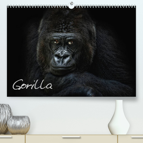 Gorilla (Premium, hochwertiger DIN A2 Wandkalender 2022, Kunstdruck in Hochglanz) von Pinkawa / Jo.PinX,  Joachim