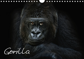 Gorilla (Wandkalender 2021 DIN A4 quer) von Pinkawa / Jo.PinX,  Joachim