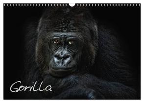 Gorilla (Wandkalender 2024 DIN A3 quer), CALVENDO Monatskalender von Pinkawa / Jo.PinX,  Joachim