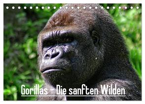 Gorillas – Die sanften Wilden (Tischkalender 2024 DIN A5 quer), CALVENDO Monatskalender von Hebgen,  Peter