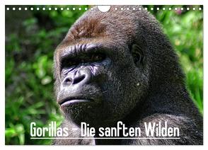 Gorillas – Die sanften Wilden (Wandkalender 2024 DIN A4 quer), CALVENDO Monatskalender von Hebgen,  Peter