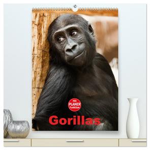 Gorillas (hochwertiger Premium Wandkalender 2024 DIN A2 hoch), Kunstdruck in Hochglanz von Stanzer,  Elisabeth