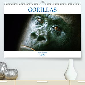 Gorillas – In der Freiheit (Premium, hochwertiger DIN A2 Wandkalender 2020, Kunstdruck in Hochglanz) von Robert,  Boris