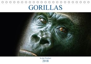 Gorillas – In der Freiheit (Tischkalender 2018 DIN A5 quer) von Robert,  Boris