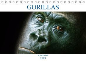 Gorillas – In der Freiheit (Tischkalender 2019 DIN A5 quer) von Robert,  Boris