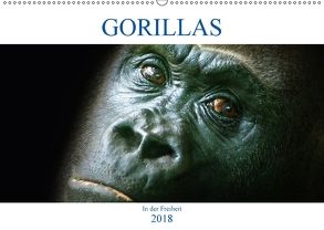 Gorillas – In der Freiheit (Wandkalender 2018 DIN A2 quer) von Robert,  Boris