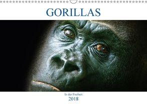 Gorillas – In der Freiheit (Wandkalender 2018 DIN A3 quer) von Robert,  Boris