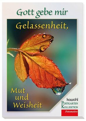 Gott gebe mir Gelassenheit, Mut und Weisheit