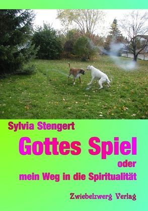 Gottes Spiel oder mein Weg in die Spiritualität von Stengert,  Sylvia