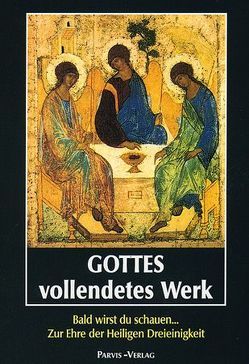 Gottes vollendetes Werk von Holdener,  P, Lucie