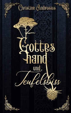 Gotteshand und Teufelsbiss von Ambrosius,  Christine