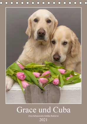 Grace und Cuba – Zwei liebenswerte Golden Retriever (Tischkalender 2021 DIN A5 hoch) von Bernhardt,  Jessica