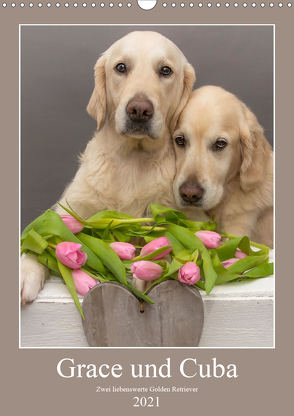 Grace und Cuba – Zwei liebenswerte Golden Retriever (Wandkalender 2021 DIN A3 hoch) von Bernhardt,  Jessica