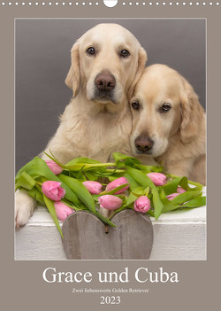 Grace und Cuba – Zwei liebenswerte Golden Retriever (Wandkalender 2023 DIN A3 hoch) von Bernhardt,  Jessica