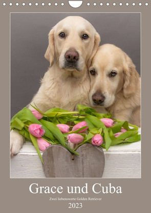 Grace und Cuba – Zwei liebenswerte Golden Retriever (Wandkalender 2023 DIN A4 hoch) von Bernhardt,  Jessica