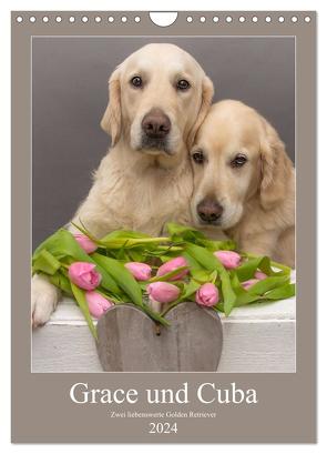 Grace und Cuba – Zwei liebenswerte Golden Retriever (Wandkalender 2024 DIN A4 hoch), CALVENDO Monatskalender von Bernhardt,  Jessica