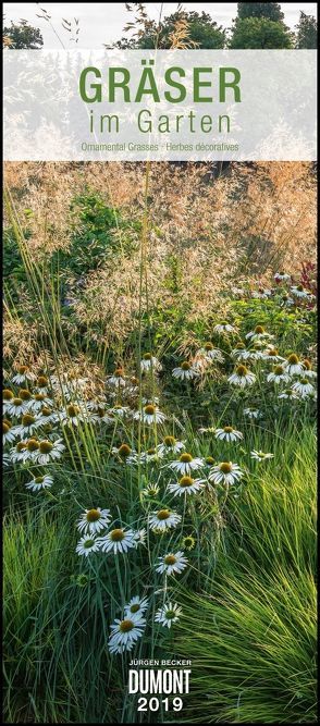 Gräser im Garten 2019 – DUMONT Wandkalender – Garten-Kalender – Hochformat 30,0 x 68,5 cm von Becker Jürgen, DUMONT Kalenderverlag