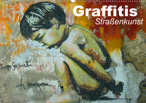 Graffitis • Straßenkunst (Wandkalender 2021 DIN A2 quer) von Stanzer,  Elisabeth