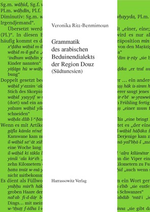 Grammatik des arabischen Beduinendialekts der Region Douz (Südtunesien) von Ritt-Benmimoun,  Veronika