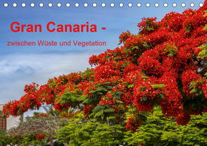 Gran Canaria – zwischen Wüste und Vegetation (Tischkalender 2021 DIN A5 quer) von brigitte jaritz,  photography