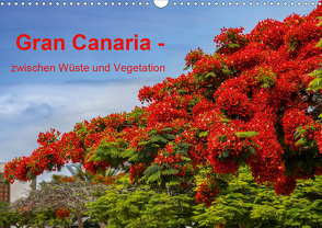 Gran Canaria – zwischen Wüste und Vegetation (Wandkalender 2021 DIN A3 quer) von brigitte jaritz,  photography