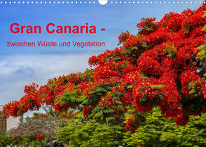 Gran Canaria – zwischen Wüste und Vegetation (Wandkalender 2022 DIN A3 quer) von brigitte jaritz,  photography