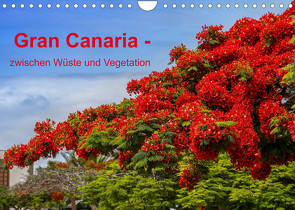 Gran Canaria – zwischen Wüste und Vegetation (Wandkalender 2022 DIN A4 quer) von brigitte jaritz,  photography