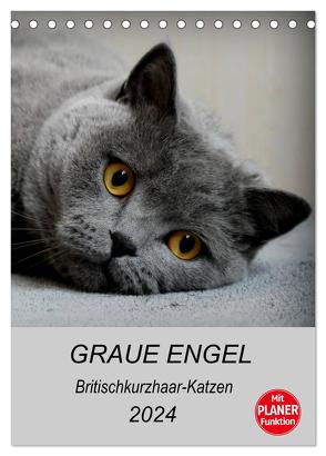 Graue Engel – Britischkurzhaar-Katzen (Tischkalender 2024 DIN A5 hoch), CALVENDO Monatskalender von Brumma / Jacky-fotos,  Jacqueline