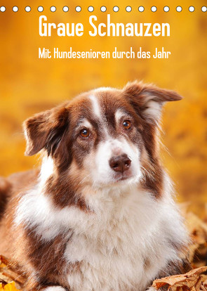 Graue Schnauzen – Mit Hundesenioren durch das Jahr (Tischkalender 2023 DIN A5 hoch) von Wegner,  Petra