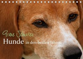 Graue Schnuten – Hunde in den besten Jahren (Tischkalender 2018 DIN A5 quer) von Grüttner,  Kerstin