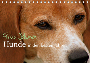 Graue Schnuten – Hunde in den besten Jahren (Tischkalender 2020 DIN A5 quer) von Grüttner,  Kerstin