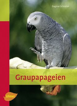 Graupapageien von Schratter,  Dagmar