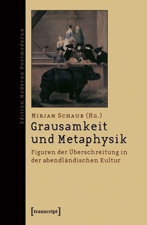 Grausamkeit und Metaphysik von Schaub,  Mirjam