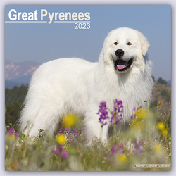 Great Pyrenees – Pyrenäenhunde 2023 – 16-Monatskalender